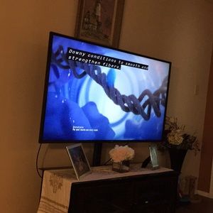 Meet your Posher, Virginia